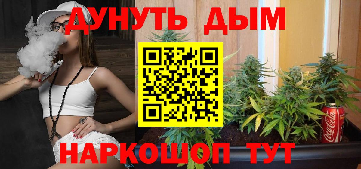 Конопля план Асино